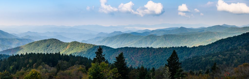 blue-ridge-mtn-chiropractor-near-me